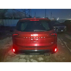 2024 KIA TELLURIDE 5XYP3DGC7RG546993 99215425