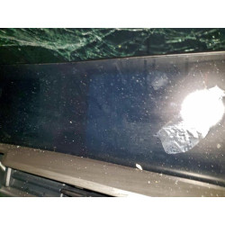 2024 KIA TELLURIDE 5XYP3DGC7RG546993 99215425