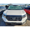 2024 HONDA RIDGELINE 5FPYK3F16RB014313 70105105