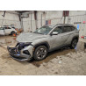 2025 HYUNDAI TUCSON 5NMJBCDE4SH469844 98601365