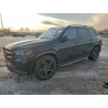2023 MERCEDES-BENZ GLS-CLASS 4JGFF8GE7PA933077 97159855