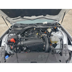 2025 FORD ALL Models 1FA6P8TH8S5131968 95571905