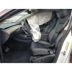 2023 TESLA MODEL Y 7SAYGDEE2PA041364 82232845