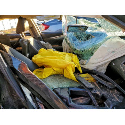 2020 INFINITI Q50 JN1EV7APXLM206664 99540595