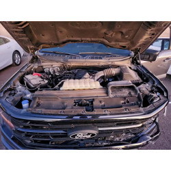 2024 FORD All Models 1FTFW3L50RKD55494 94818005