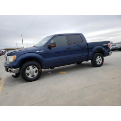 2010 FORD F-150