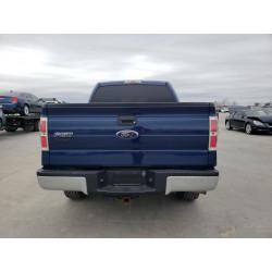 2010 FORD F-150