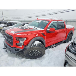 2020 FORD F150 1FTFW1RG7LFB26761 74542005