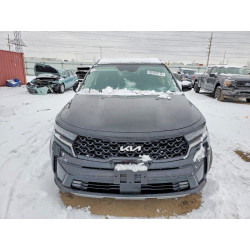 2023 KIA SORENTO 5XYRKDLF7PG218546 99193175