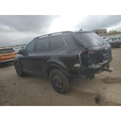 2024 KIA TELLURIDE 5XYP5DGC7RG461372 89460575