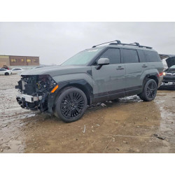 2026 HYUNDAI SANTA FE 5NMP5DG15TH081023 99994515