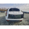 2023 CHEVROLET SUBURBAN 1GNSKFKD7PR343360 96334925