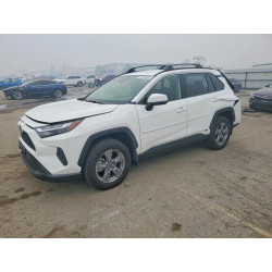 2024 TOYOTA RAV4 JTMMWRFV4RD258809 74973625