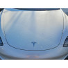 2023 TESLA MODEL 3 5YJ3E1EA0PF402330 72887665