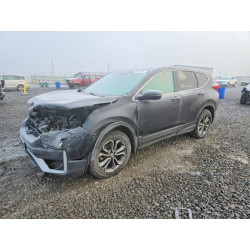 2021 HONDA CRV 7FARW2H83ME009511 72842545