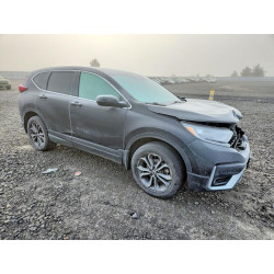 2021 HONDA CRV 7FARW2H83ME009511 72842545