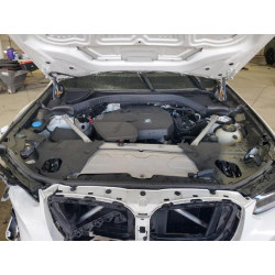 2023 BMW X3 5UX53DP09P9P03918 91576295