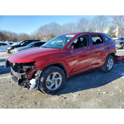 2024 HYUNDAI TUCSON 5NMJACDE2RH437875 75902215