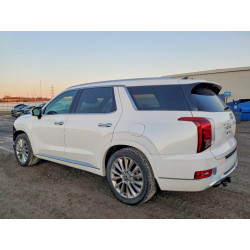 2020 HYUNDAI PALISADE KM8R5DHE9LU156806 99202065