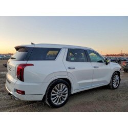 2020 HYUNDAI PALISADE KM8R5DHE9LU156806 99202065