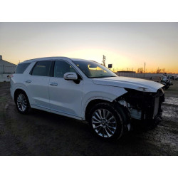 2020 HYUNDAI PALISADE KM8R5DHE9LU156806 99202065
