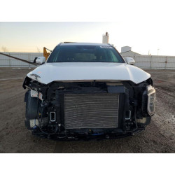 2020 HYUNDAI PALISADE KM8R5DHE9LU156806 99202065