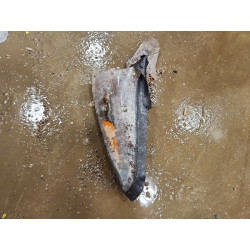 2021 KIA SPORTAGE KNDPMCAC2M7861173 74080775