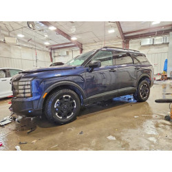 2026 HYUNDAI PALISADE KM8RJES29TU035001 74495475