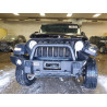 2020 JEEP WRANGLER 1C4HJXDG9LW171413 75091505