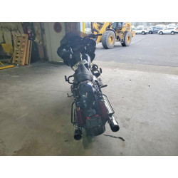 2022 HARLEY DAVIDSON FLSE 1HD1TCL13NB951241 75074855