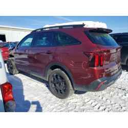 2024 KIA SORENTO 5XYRKDJF5RG259179 74424205