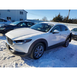 2021 MAZDA CX30 3MVDMBBL0MM220829 74590275