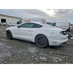 2021 FORD ALL Models 1FA6P8TH0M5103696 94344815