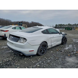 2021 FORD ALL Models 1FA6P8TH0M5103696 94344815