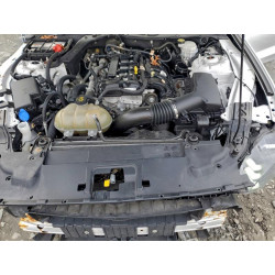 2021 FORD ALL Models 1FA6P8TH0M5103696 94344815