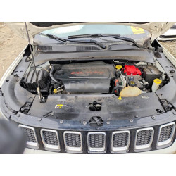 2020 JEEP COMPASS 3C4NJDCB9LT156424 99064475