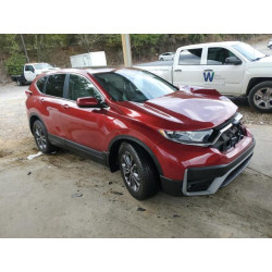 2020 HONDA CRV 7FARW1H57LE013527 81993995