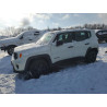2021 JEEP RENEGADE ZACNJDAB0MPN09643 73401715