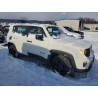2021 JEEP RENEGADE ZACNJDAB0MPN09643 73401715