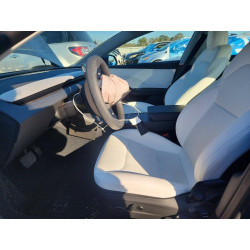 2025 TESLA MODEL 3 5YJ3E1EA3SF977076 99550405