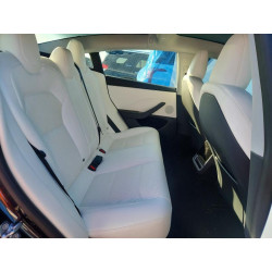 2025 TESLA MODEL 3 5YJ3E1EA3SF977076 99550405