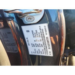 2025 TESLA MODEL 3 5YJ3E1EA3SF977076 99550405