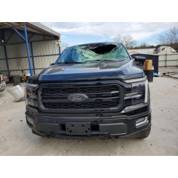 2024 FORD F150 LARIA 1FTFW5LD2RFB81035 75786085
