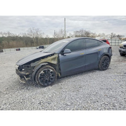 2023 TESLA MODEL Y 7SAYGDEE1PA029092 99993395