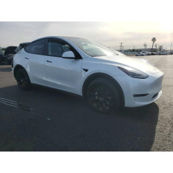 2023 TESLA MODEL Y 7SAYGAEE1PF620198 75254095