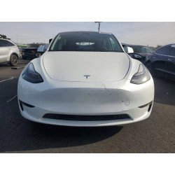 2023 TESLA MODEL Y 7SAYGAEE1PF620198 75254095
