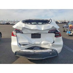 2023 TESLA MODEL Y 7SAYGAEE1PF620198 75254095