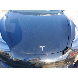 2023 TESLA MODEL 3 5YJ3E1EA0PF696005 74681885