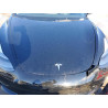 2023 TESLA MODEL 3 5YJ3E1EA0PF696005 74681885