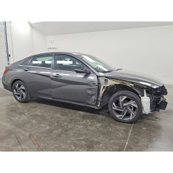 2025 HYUNDAI ELANTRA KMHLP4DG5SU019965 78731225